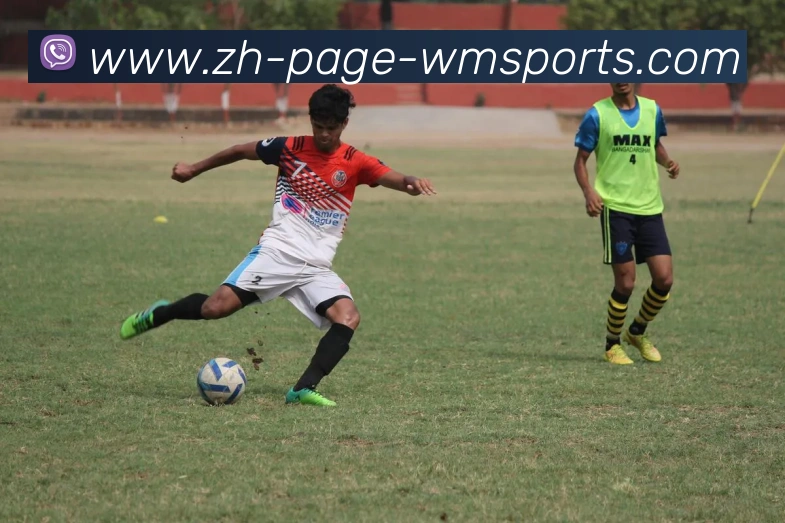 完美体育官网平台生态图