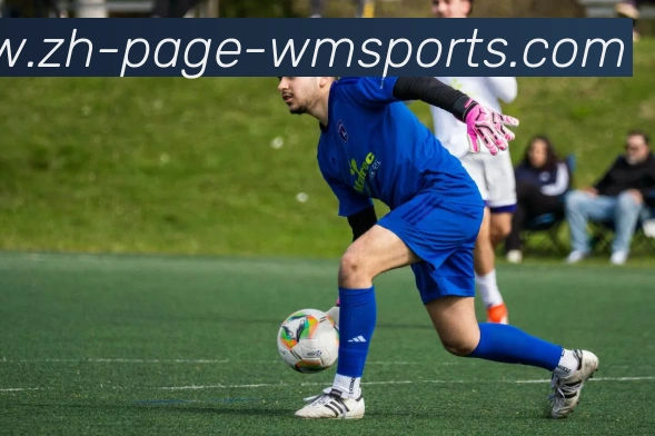 完美体育官网APP 封面图